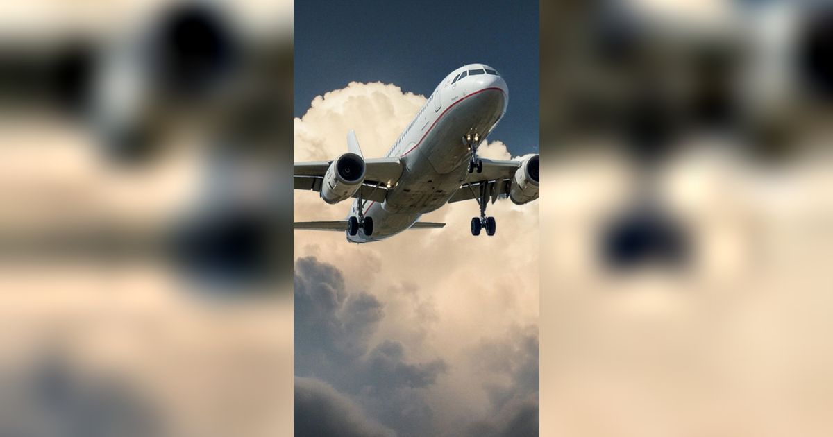 Home Alone Dunia Nyata, Bocah 6 Tahun Ini Salah Naik Pesawat, Malah Nyasar ke Kota Lain