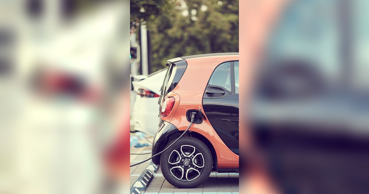 Usai Resmikan SPKLU, Pejabat BPKP Wajib Pakai Mobil Listrik