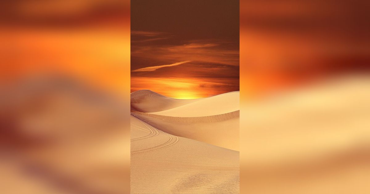 Terkenal Panas dan Tandus, Malam di Gurun Sahara Ternyata Sangat Dingin!