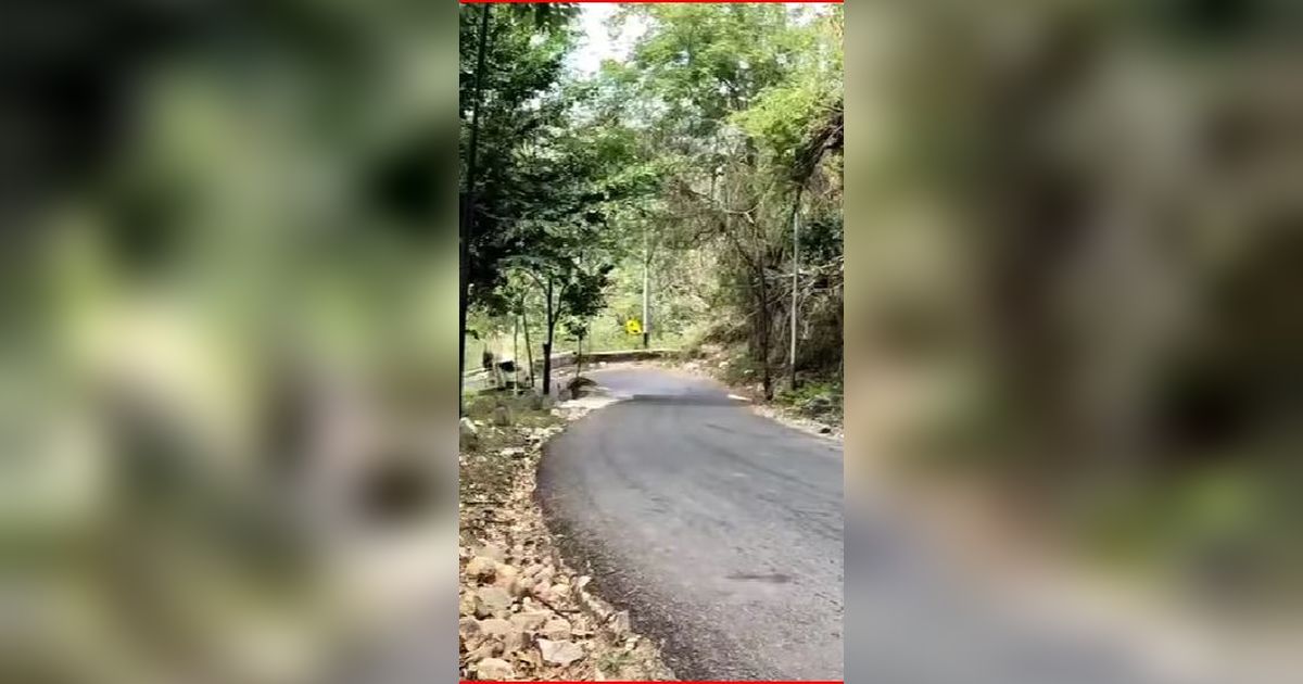 Dikenal Sebagai Jalur Ekstrem, Ini Sisi Menarik Bukit Tunggangan Wonogiri