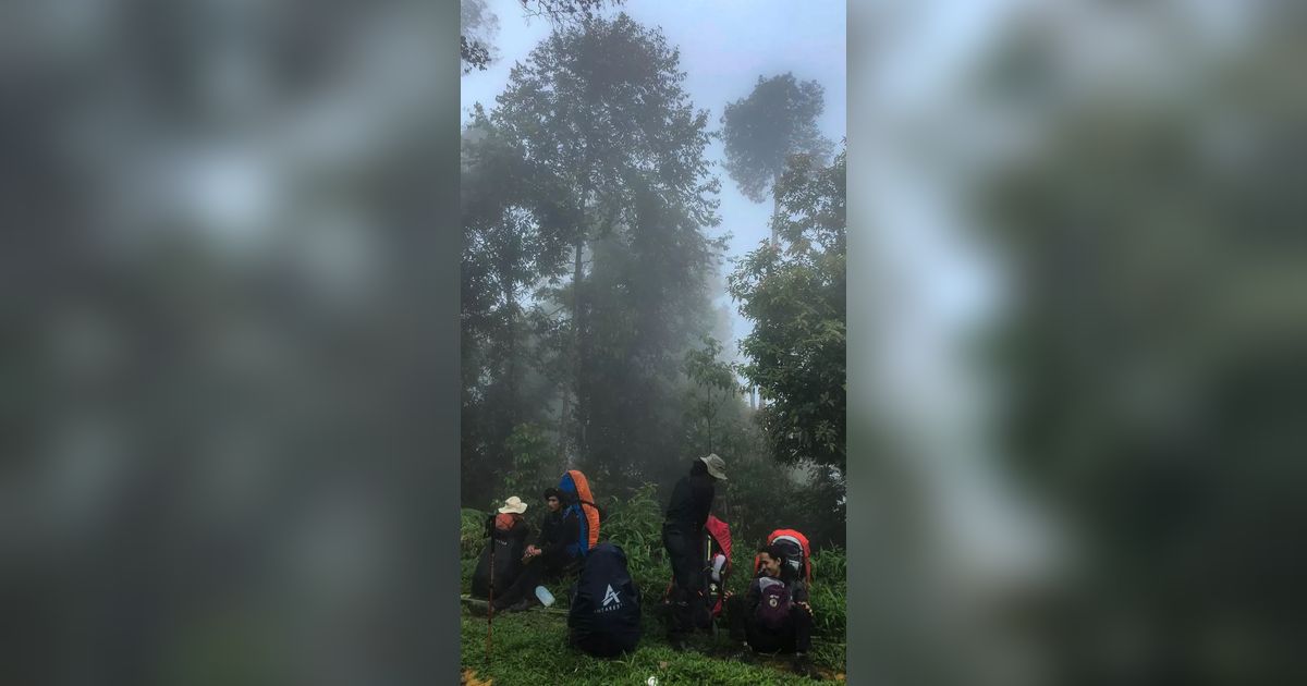 Medannya Sulit Ditaklukkan, Ini Fakta Menarik Gunung Bandahara di Provinsi Aceh