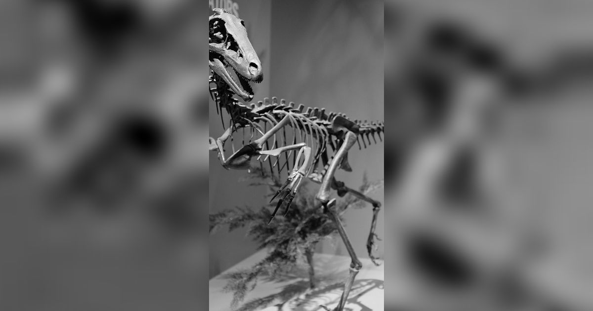 10 Penemuan Dinosaurus Paling Heboh Sepanjang 2023, Ada yang Menguak Makanan Terakhirnya