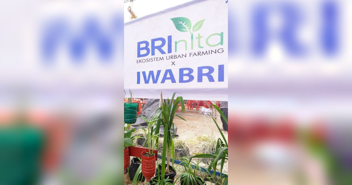 Warga Tuminting & BRI Ubah Lahan Timbunan Sampah Jadi Lahan Urban Farming 'BRInita'