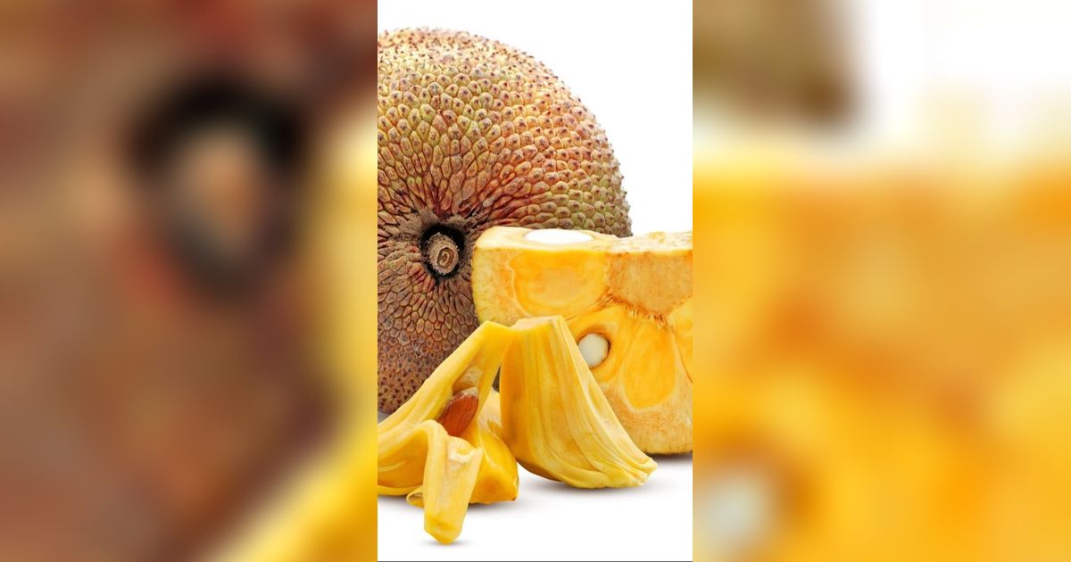 Resep Nangka Matang yang Enak dan Legit, Mudah Dibuat