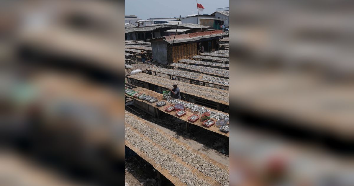 FOTO: Geliat Produksi Ikan Asin di Tengah Cuaca Tak Tentu