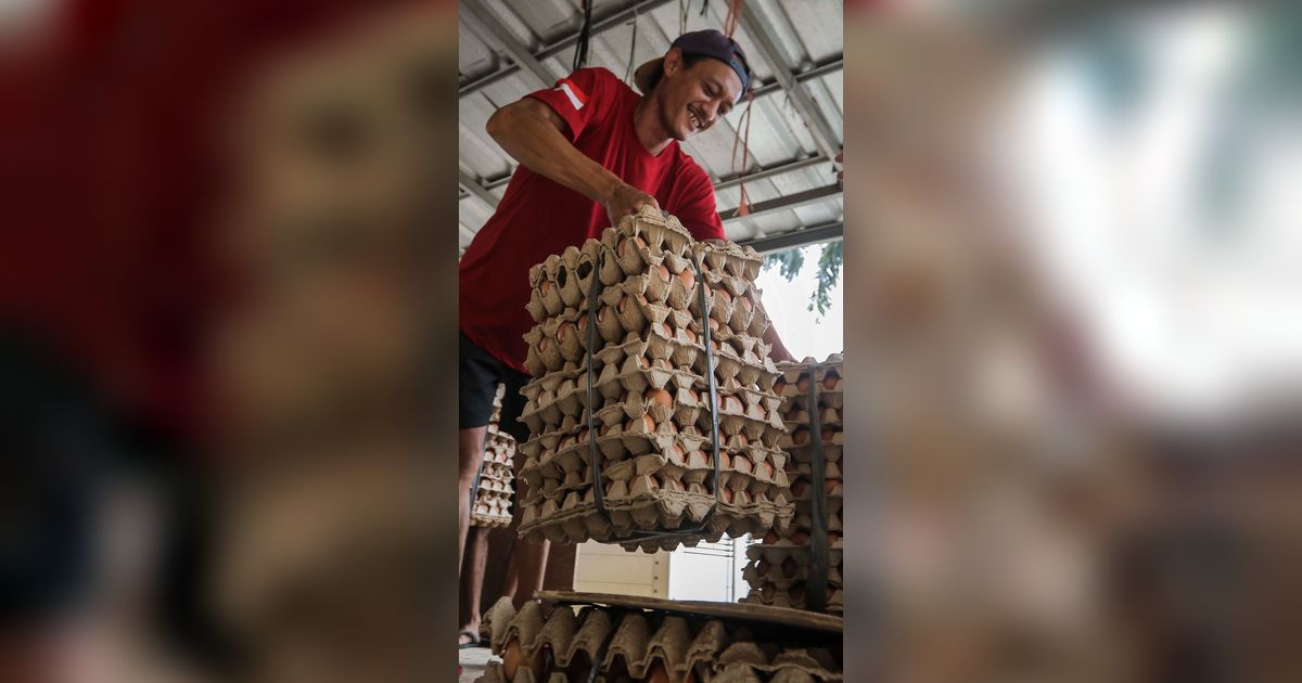 FOTO: Telur Pecah Mulai Diburu Pelanggan di Tengah Kenaikan Harga Telur Ayam Jelang Natal dan Tahun Baru