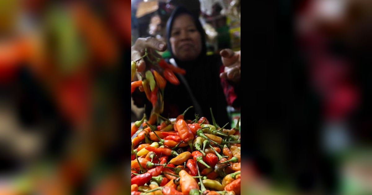 FOTO: Makin Pedas! Harga Cabai Rawit Tembus Rp105 Ribu per Kilogram, Ini Penyebabnya