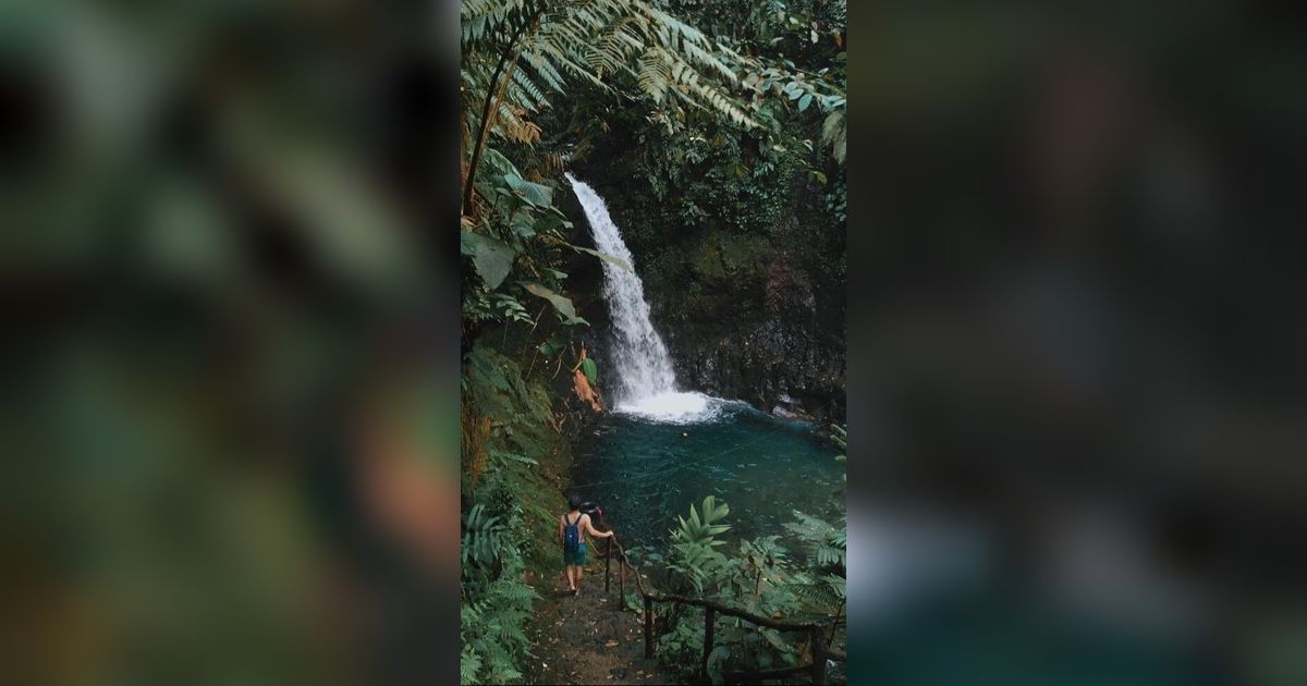 Airnya Jernih Bak Kaca, Intip Eksotisnya Curug Goa Lumut Endah di Pamijahan Bogor