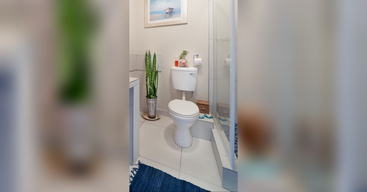 Musim Hujan, Waspada 5 Binatang yang Bisa Menyusup ke Lubang Toilet