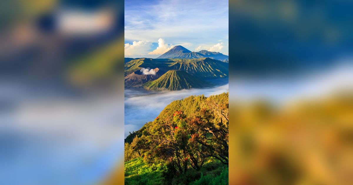 Sempat Terbakar Hebat, Bromo Dinobatkan Jadi Taman Tercantik Dunia