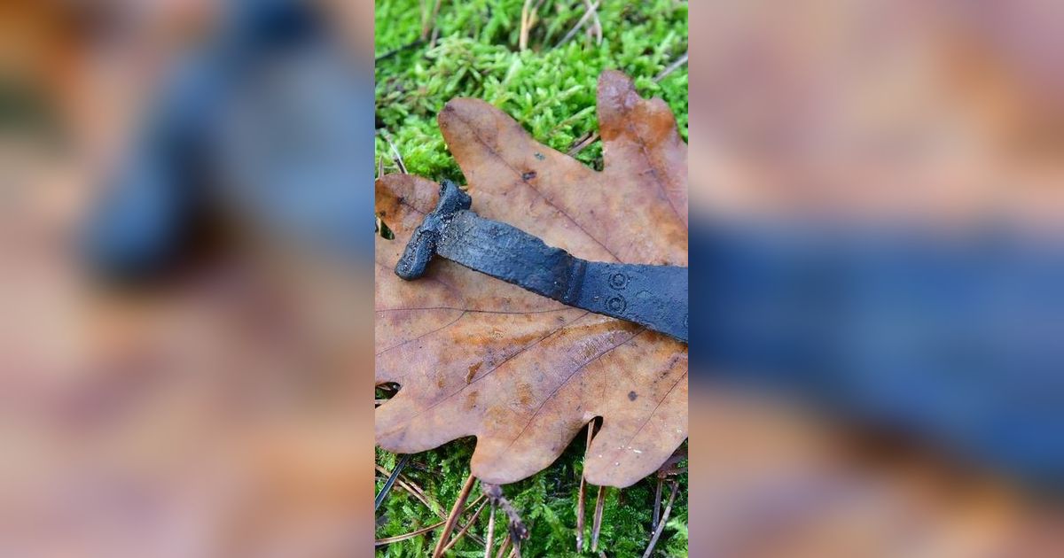 Penemuan Kapak Perunggu dari Masa 1.700 SM, Ternyata Tidak untuk Memotong