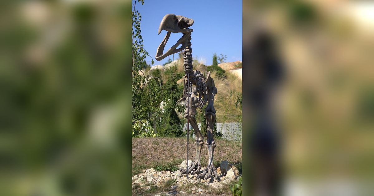 Heboh Penemuan Kerangka Dinosaurus Hampir Utuh dan Ada Kulit Menempel