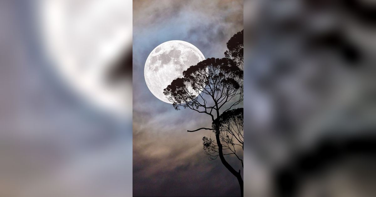Peneliti Bakal Bikin Jalan Raya di Bulan, Bagaimana Caranya?