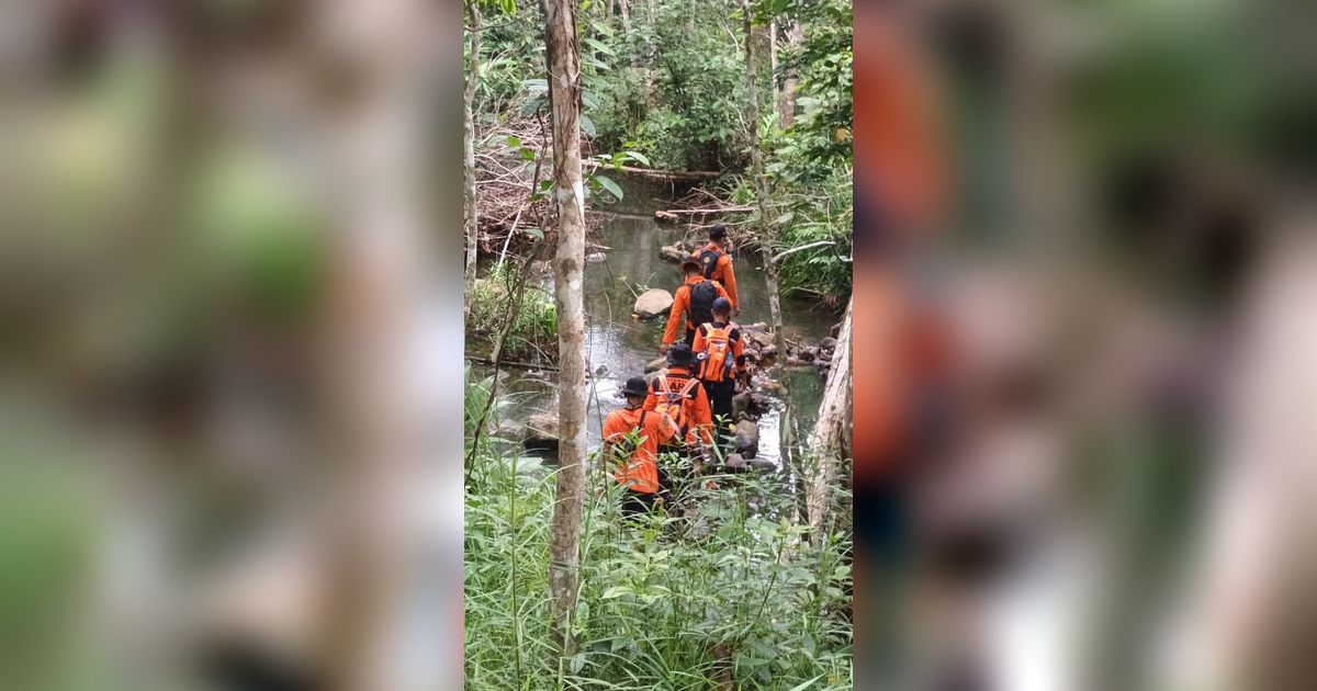 ABG Hilang Selama Sepekan di Hutan Lubuklinggau, Belasan Dukun Dikerahkan Bantu Menerawang