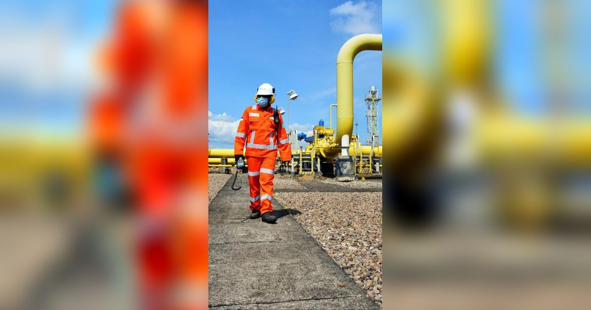 Dewan Energi Nasional: Pembangunan Infrastruktur Gas Pertamina Perkuat Ketahanan Energi