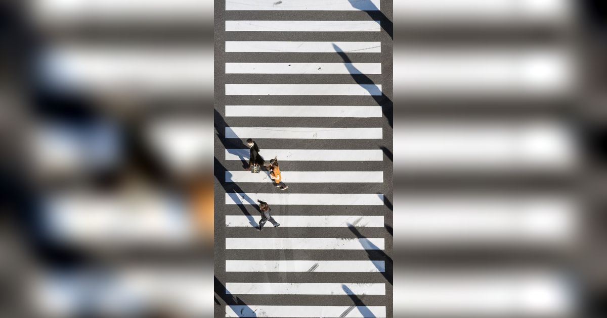 Kenapa Zebra Cross Berwarna Hitam Putih?