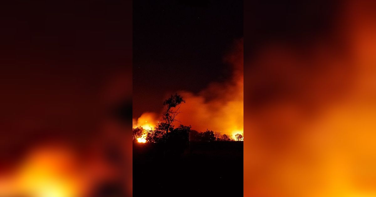 Diduga Buka Lahan Kebun, Ini Sederet Fakta Kebakaran Hutan di Kabupaten Bengkalis