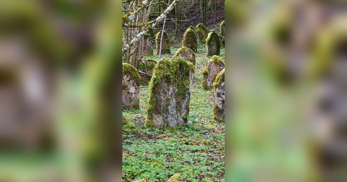 Heboh Gundukan Tanah Mirip Makam di Kebumen, Setelah Dibongkar Ini Isinya