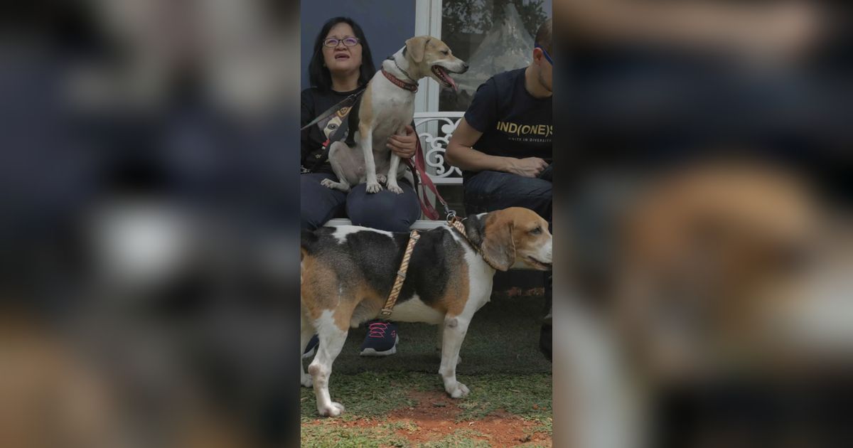 Rabies Kembali Makan Korban