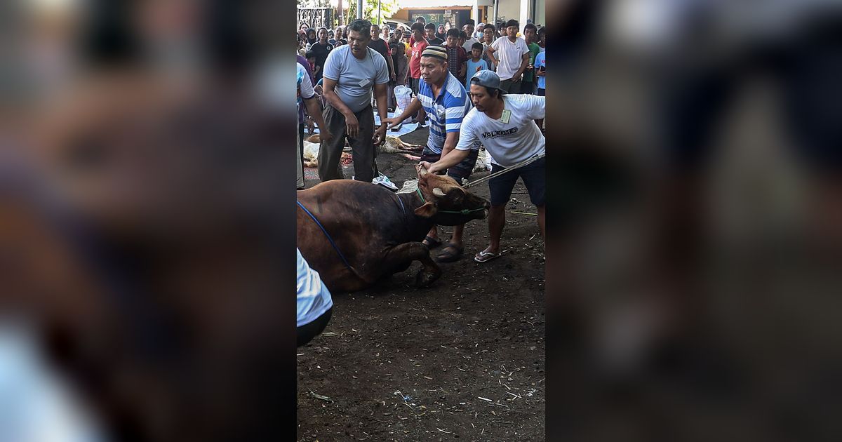 Memaknai Kurban dengan Semangat Kolaborasi Kebangsaan