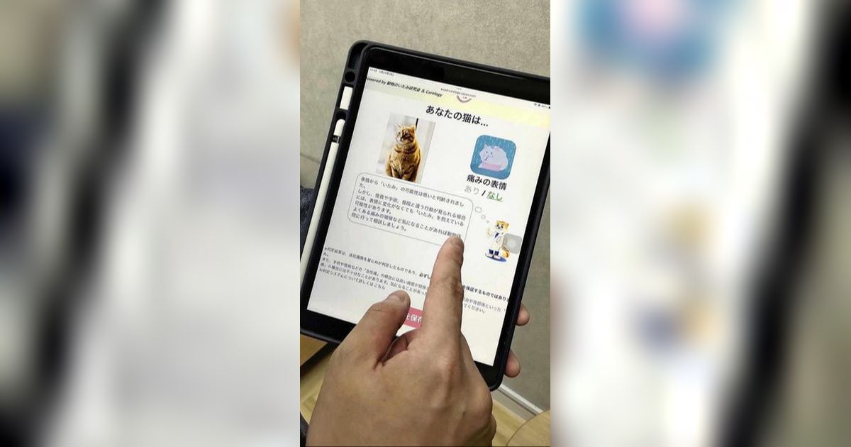 Japan Launches Pain Detection App for Cats trstdly trusted news in