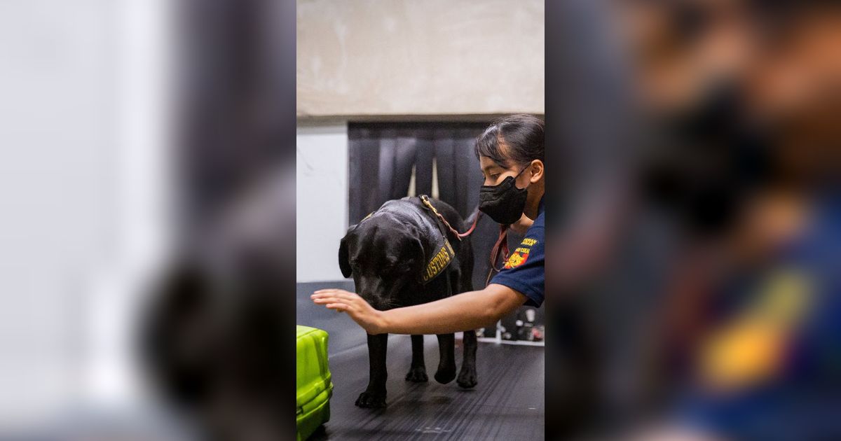 Bangga! Indonesia Jadi Pusat Pelatihan Anjing Pelacak Asia Pasifik