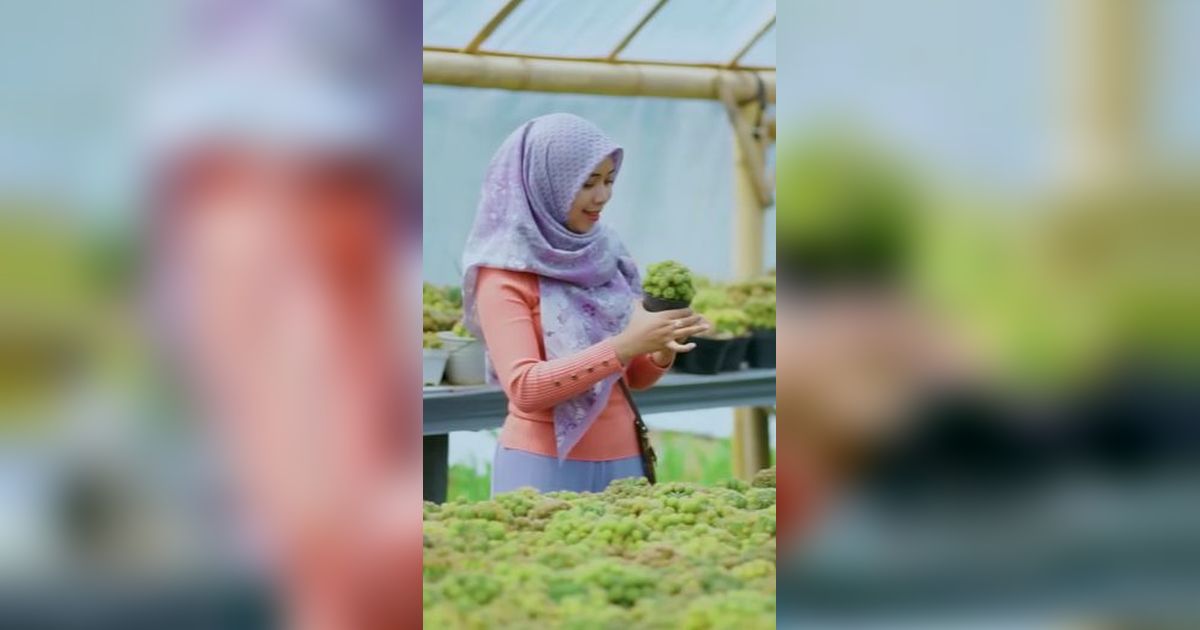 Dulu Ngontrak, Berkat Kerja Keras Wanita Ini Kini Miliki Rumah Mewah Hasil dari Bertani