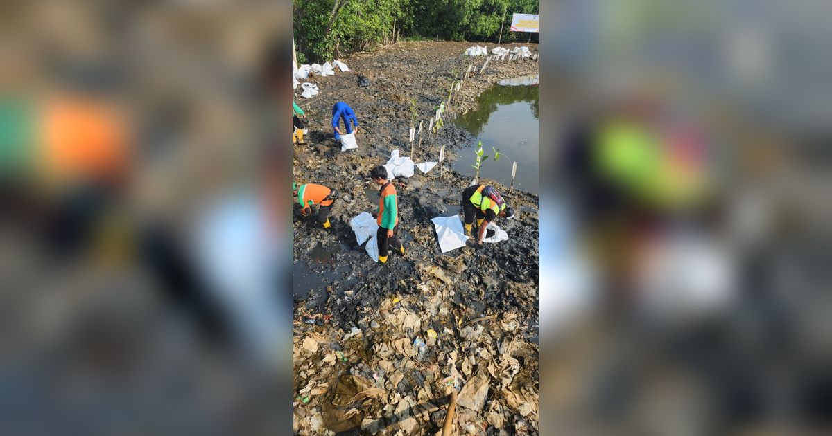 Usai Viral, Sampah Cemari Hutan Mangrove Angke Dibersihkan Polisi & Pemprov DKI