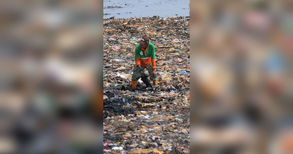 FOTO: Viral di Medsos, Ini Penampakan Tumpukan Sampah di Pantai Mangrove Muara Angke yang Bikin Miris