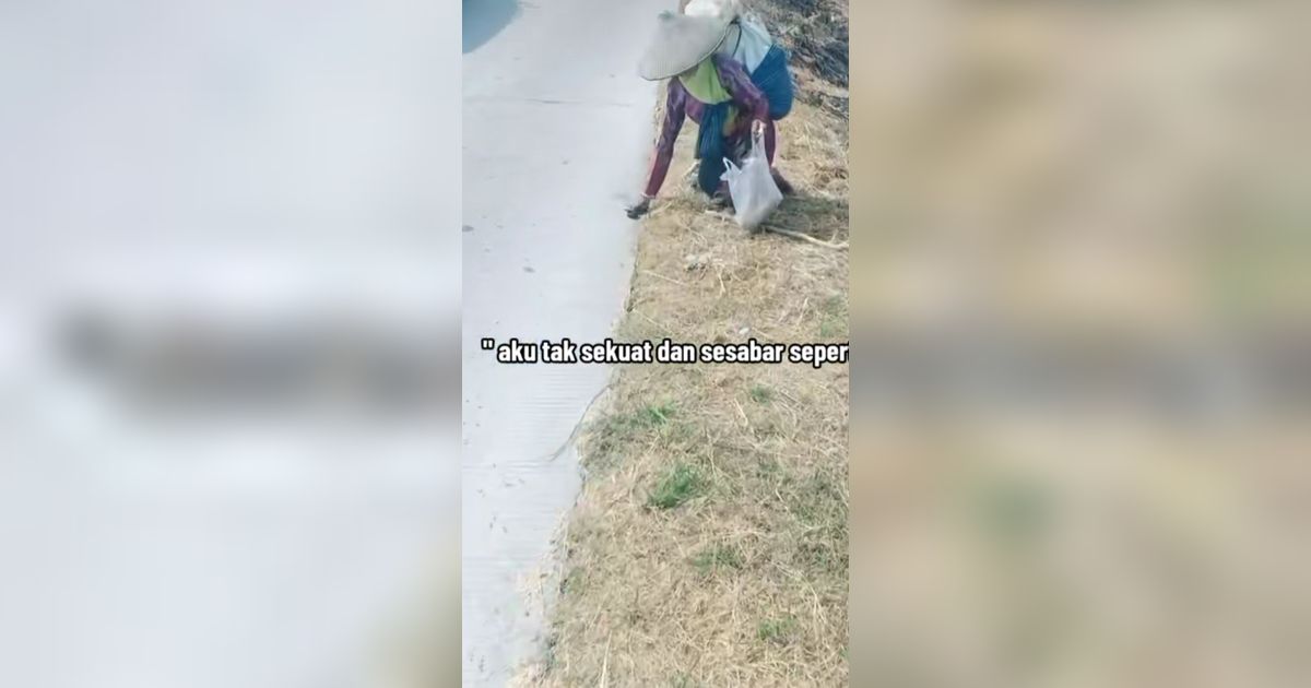 Bikin Haru, Nenek Ini Punguti Gabah Jatuh di Pinggir Jalan Sebut di Rumah Sendiri