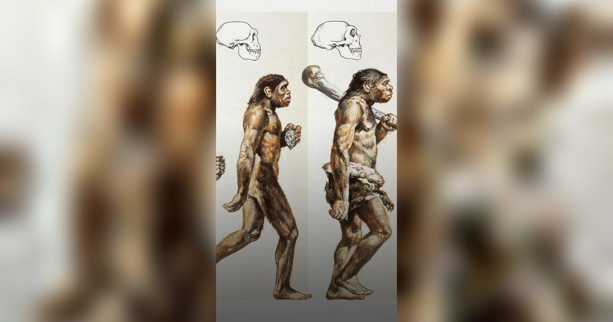 Jika Teori Evolusi Itu Benar, Mengapa Monyet Masih Hidup Sampai Sekarang?