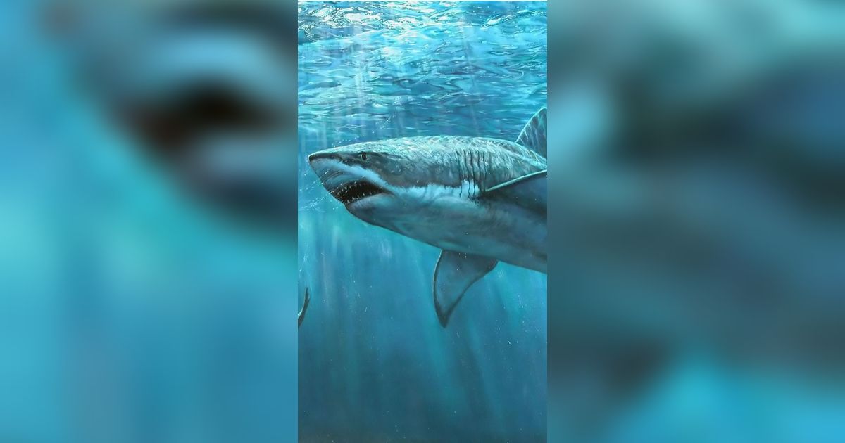 Ilmuwan Temukan Fakta Baru Mengejutkan Tentang Megalodon