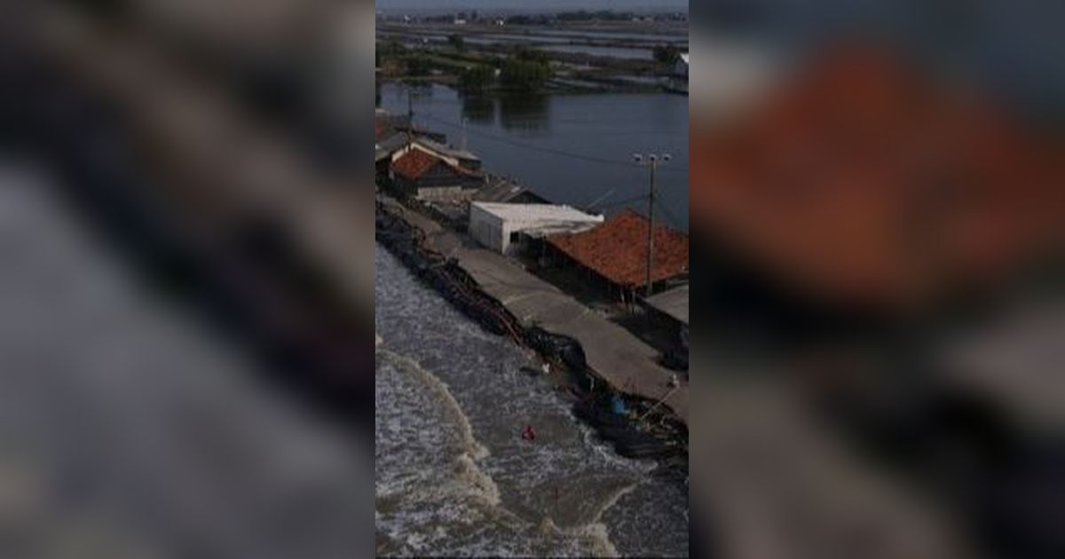 Sebanyak 2.630 Tetrapod Pemecah Gelombang Dikirim ke Raja Ampat, Berat Satu Unit Capai 1,2 Ton