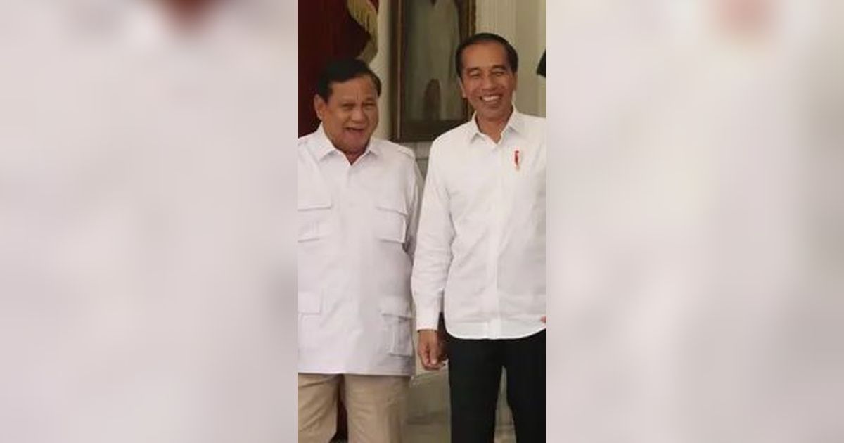 PKB Tidak Diberi Tahu Prabowo Hasil Pertemuan dengan Jokowi dan Erick Thohir