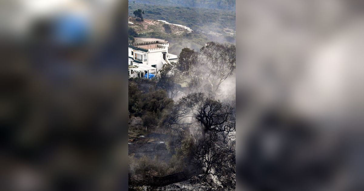 FOTO: Kebakaran Hutan di Aljazair Kian Mengganas dan Menyebar ke Tunisia, Kobaran Apinya Dahsyat Menghanguskan Segalanya