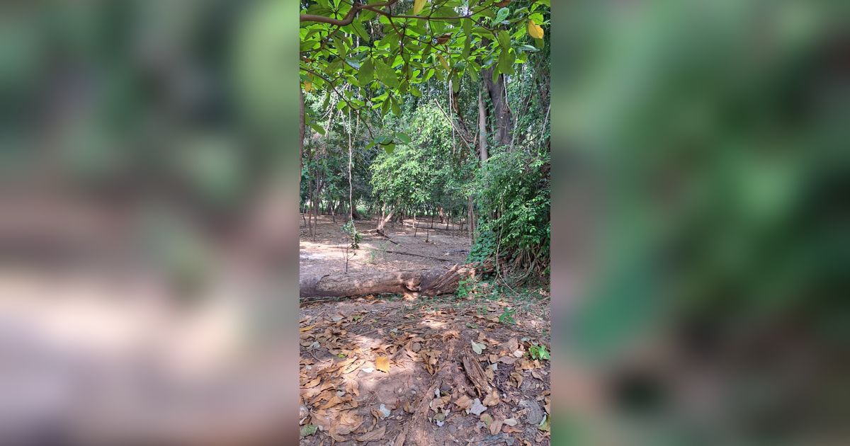 Kaum LGBT di Hutan Kota UKI Kebanyakan Orang Kaya Pakai Mobil Mewah