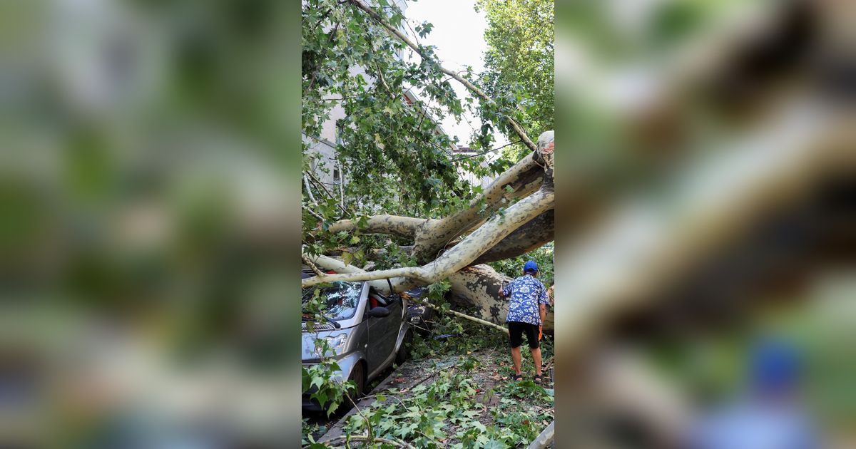 FOTO: Badai Angin Kencang Terdahyat Tumbangkan Pohon-Pohon Raksasa di Kota Milan Italia, Potretnya Bikin Ngeri