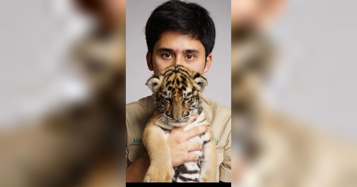 Jadi Sorotan, Alshad Ahmad Ungkap Penyebab Kematian Cenora Anak Harimau Miliknya