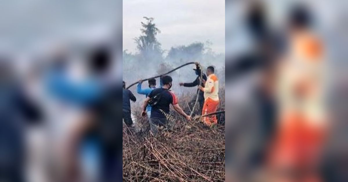 Warga Sumsel di Wilayah Ini Dilarang Keras Nyalakan Api, Ada Karhutla dan Kabut Asap Mengancam