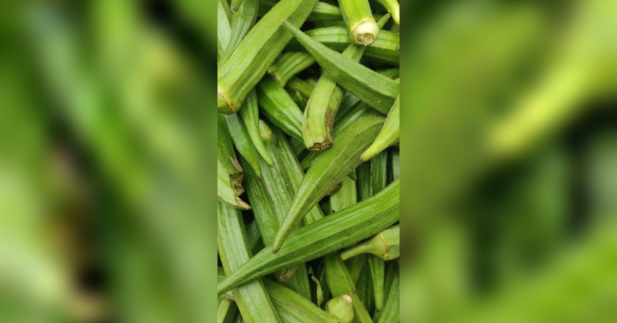 Manfaat Okra Bagi Tubuh Jika Rutin Dikonsumsi, Sayuran Kaya Nutrisi