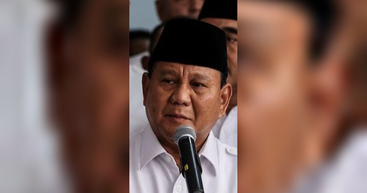 Gerindra Bela Prabowo: Makin Isu HAM Dipolitisasi, Muncul Sikap Antipati Publik