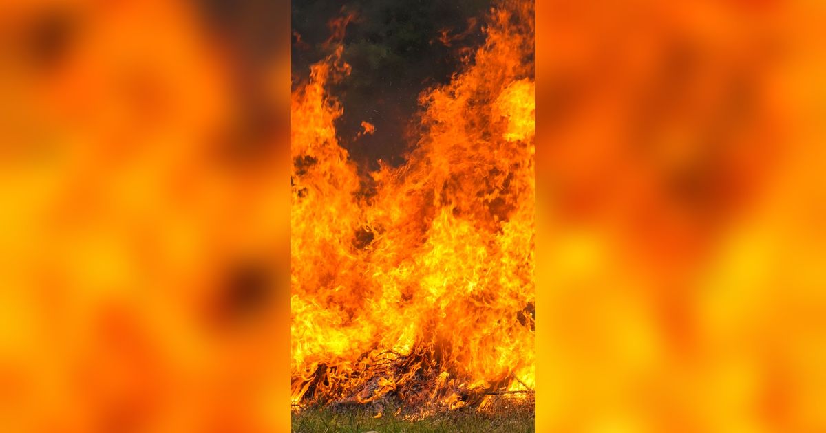 Ladang Rumput Bandara Adisutjipto Yogyakarta Terbakar, Begini Kondisi Terkininya