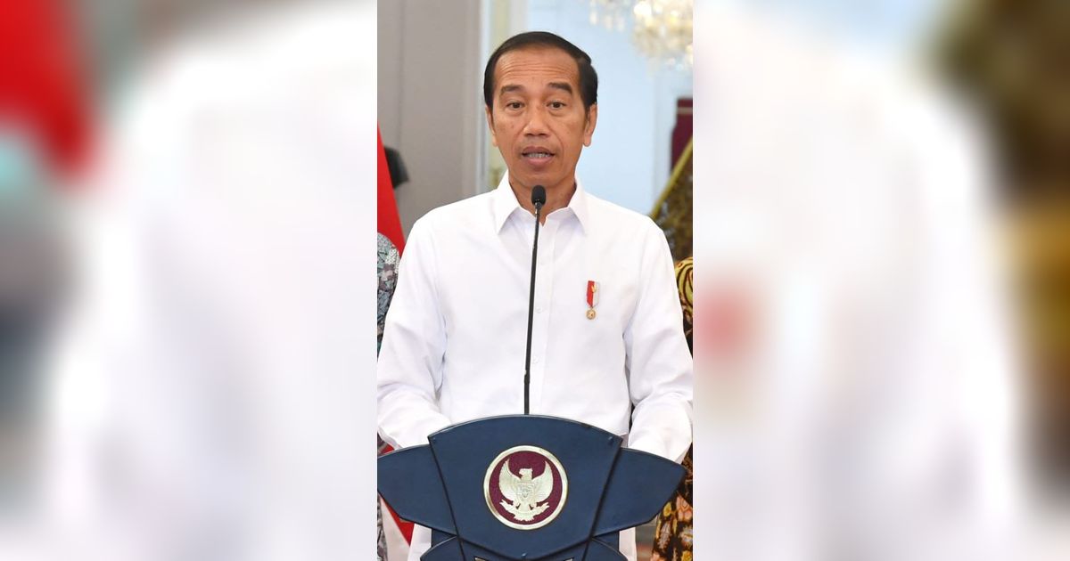 Titah Jokowi ke Menteri PUPR: Normalisasi Ciliwung Harus Segera Rampung