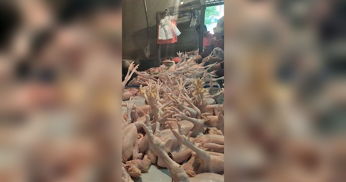 Harga Ayam Potong Naik Usai Iduladha, Pedagang di Pasar Bogor Keluhkan Turunnya Konsumen hingga 50 Persen