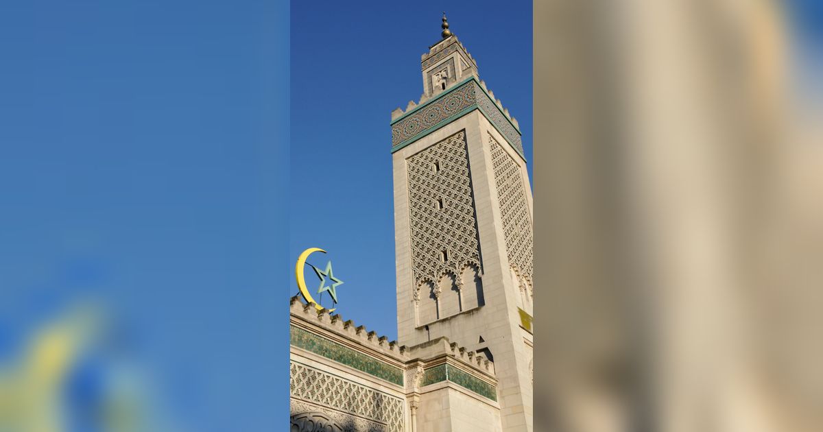 Melihat Keindahan Wisteria Bermekaran di Masjid Raya Paris
