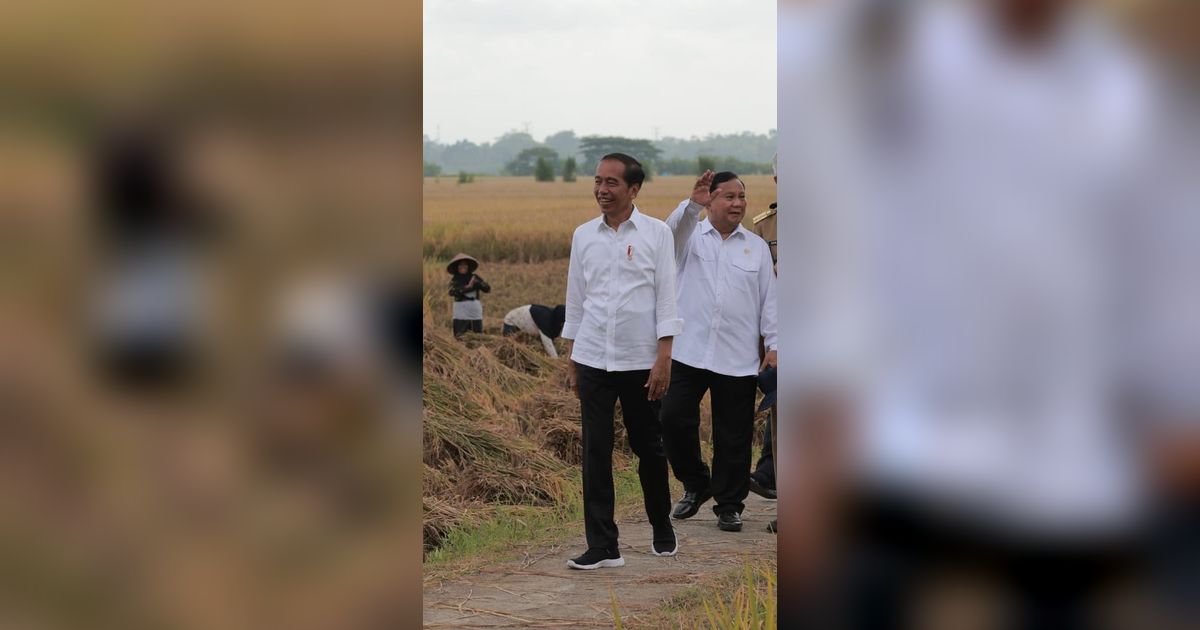 Projo: Kami Memiliki Pandangan Jokowi akan Dukung Prabowo di Pilpres 2024