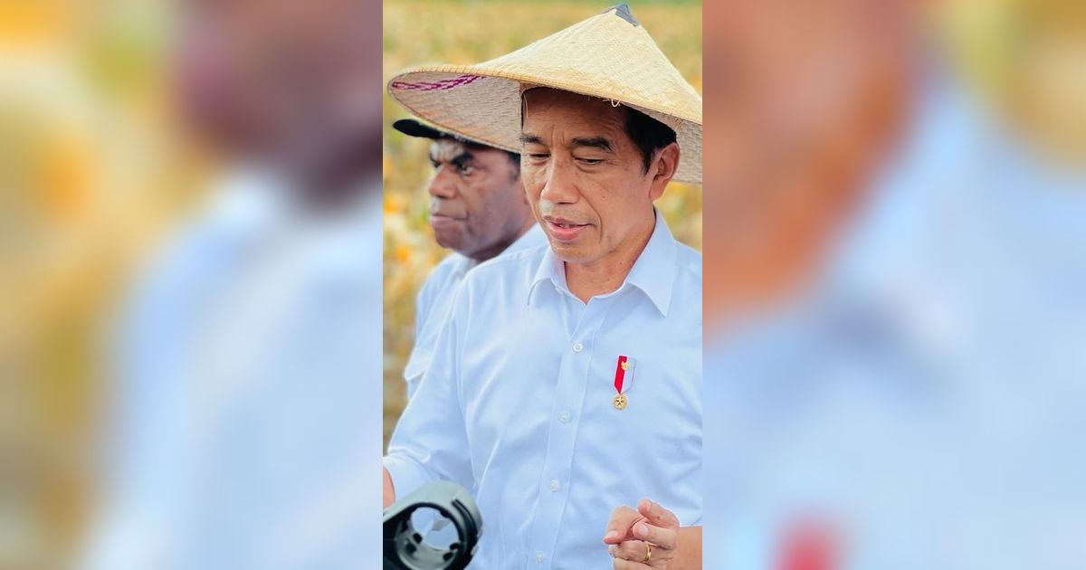 Pakai Caping, Jokowi Tinjau Ladang Jagung di Food Estate Kabupaten Keerom