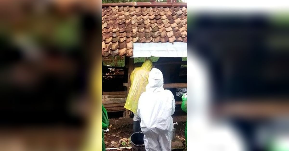 Kronologi Warga Gunungkidul Meninggal karena Antraks, Berawal dari Sembelih Sapi Mati