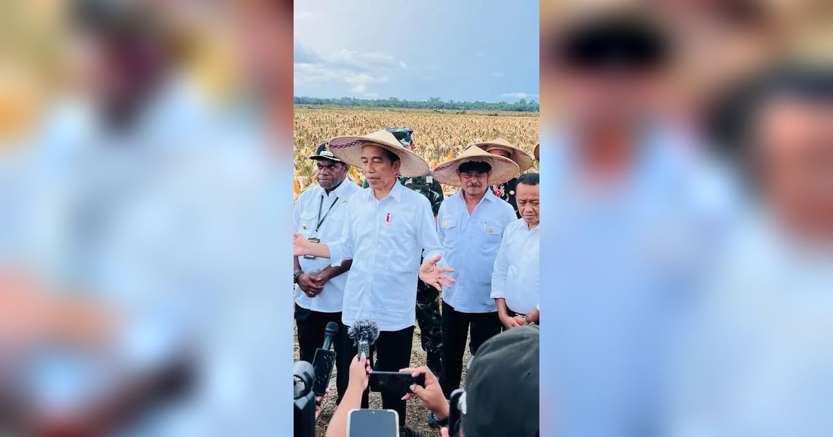 Jokowi Harap Food Estate Keerom Bisa Penuhi Kebutuhan Jagung Nasional