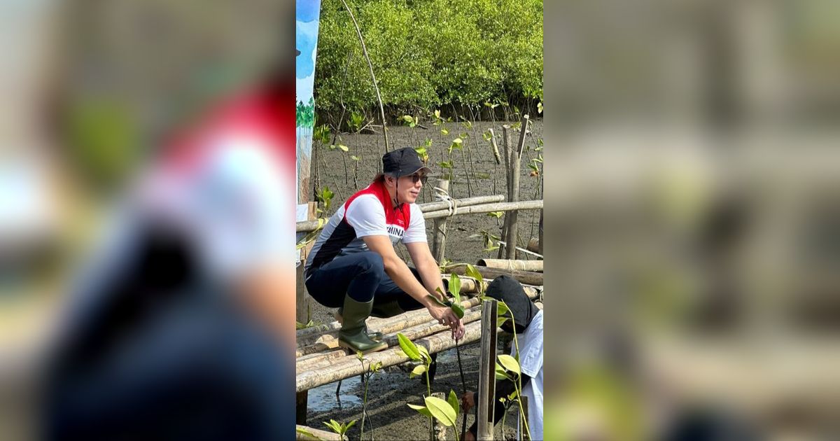 Potret Penanaman 1.000 Mangrove untuk Kurangi Emisi Karbon dan Bisnis Berkelanjutan